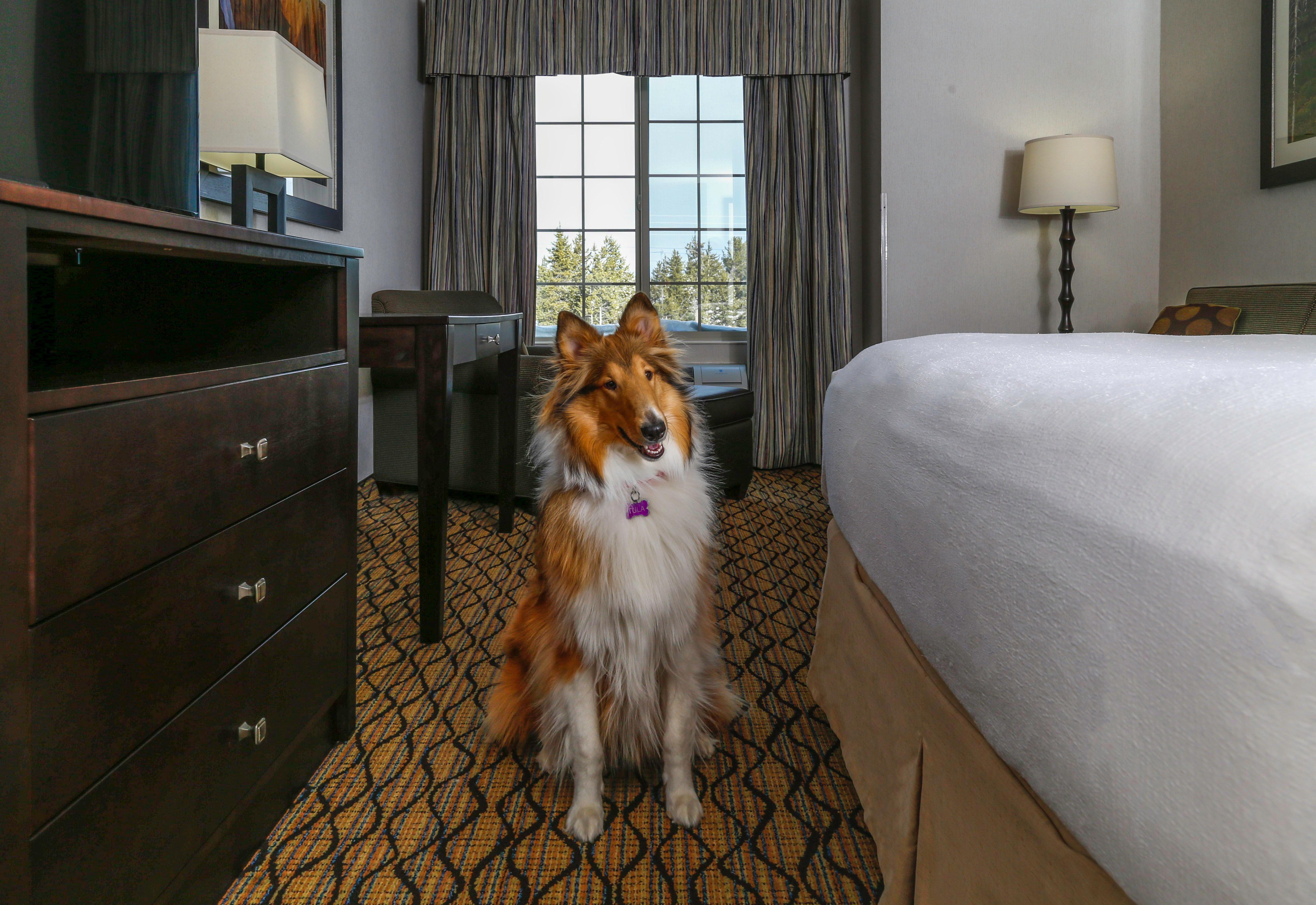Holiday Inn West Yellowstone By Ihg Exteriér fotografie